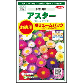 サカタのタネ アスター 松本混合ボリュームパック 約560粒 実咲花タネ お徳用