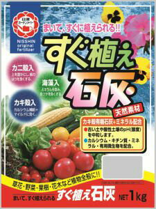 y AΊD K[fCg 1kg | K[fjO   ʎ