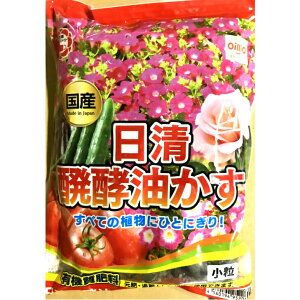 ���� ������ ���y������ ���� 2kg �����K�[�f�����C�g ���y ���� ���| �K�[�f�j���O