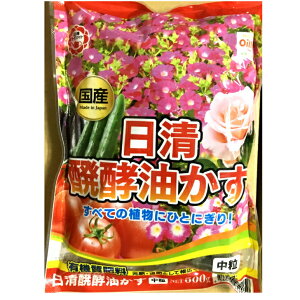 ���� ������ ���y������ ���� 500g �����K�[�f�����C�g ���y ���� ���| �K�[�f�j���O