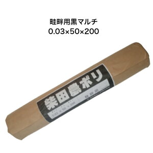 lȗp}` 0.03×50×200 _| ēc _ A[ V[g A[}`