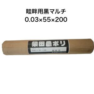 lȗp}` 0.03×55×200 _| ēc _ A[ V[g A[}`