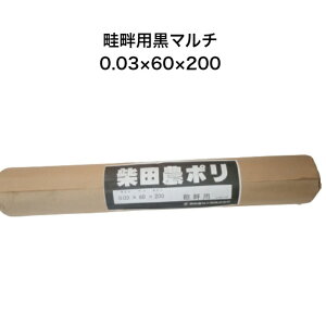 lȗp}` 0.03×60×200 _| ēc _ A[ V[g A[}`