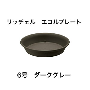 b`F GRv[g 6 DO[ | 󂯎M M  M K[fjO