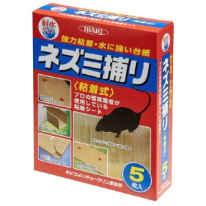 lY~쏜 ɂ悢`[NƖp S CJ 5 lY~߂ ˂ l