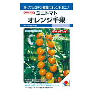 ^LCz IW ~jg}g DF16 ؂̃^l