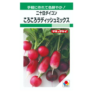 ^LCc 卪 낱냉fBbV~bNX GF300 ؂̃^l \_CR