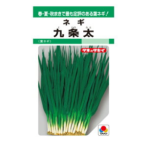 ^LCc  K GF13ml؂̃^l lM