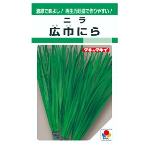 ^LCc LЂɂ GF13ml ؂̃^l j