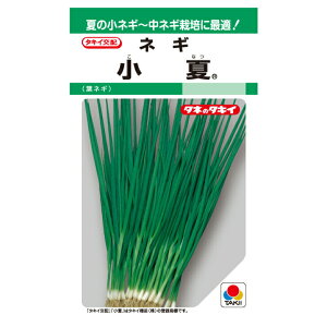 ^LCz  K GF15ml ؂̃^l lM