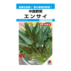 ^LCc  GTC MF13ml ؂̃^l