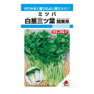 ^LCc sOct (֓n) MF4ml ؂̃^l ~co