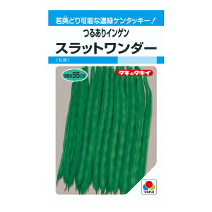 ^LCc 邠CQ Xbg_[ MF27ml ؂̃^l