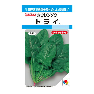 ^LCz gC@@ MF22ml zE\E ؂̃^l