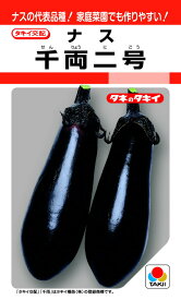 タキイ交配 千両二号 茄子 DF50粒 野菜のタネ