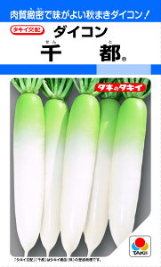 ^LCz _CR s卪 DF9ml ؂̃^l