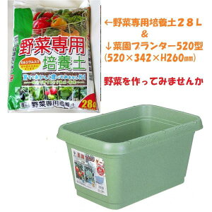 @؍͔|Zbg@؉v^[520^+ؗp|{y28LZbg