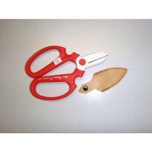 ͂݁@nhNG[V@F170@⌹@