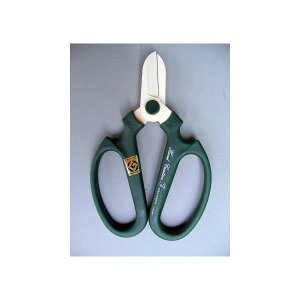 ͂݁@nhNG[V@F170@⌹@XO[