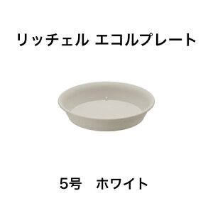 b`F GRv[g 5 zCg  | 󂯎M M  M K[fjO