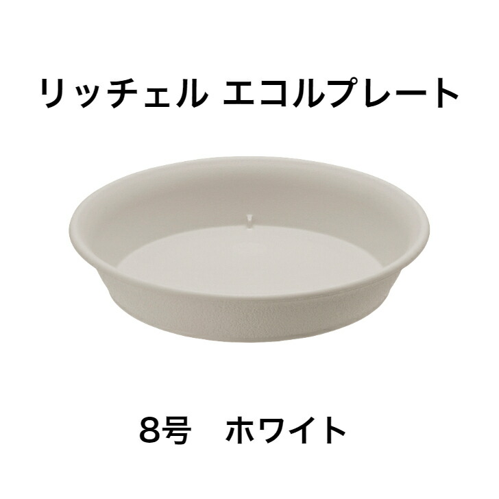 鉢 鉢皿 8号の人気商品・通販・価格比較 - 価格.com
