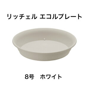 b`F GRv[g 8 zCg  | 󂯎M M  M K[fjO