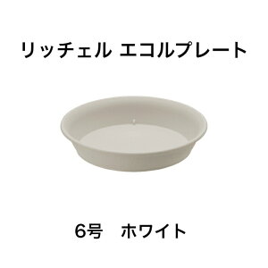 b`F GRv[g 6 zCg  | 󂯎M M  M K[fjO