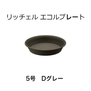 b`F GRv[g 5 DO[ | 󂯎M M  M K[fjO