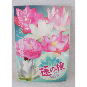 @@̎@~bNX@5