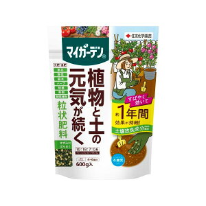 엿 }CK[f 엿 ZFw| 600g K[fjO    ǔ