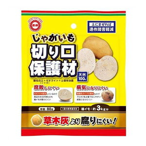  Ⴊ ؂ی 80g yǍ 킶Ⴊ WKC n鏒 At