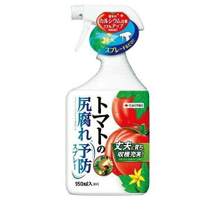 ZFw| g}g̐K\hXv[ 950ml t̔엿  K[fjO