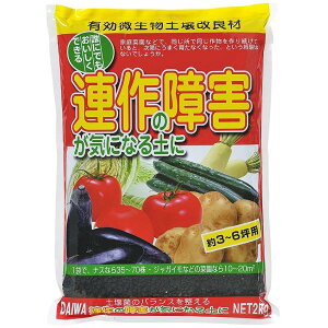 yǍ܁@ȀQCɂȂyɁ@a@2kg×10