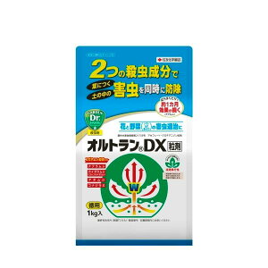 _ E IgDX ZFw| 1kg ΂  