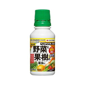 _ E xjJxWt ZFw| 100ml ƒ؉ ʎ 