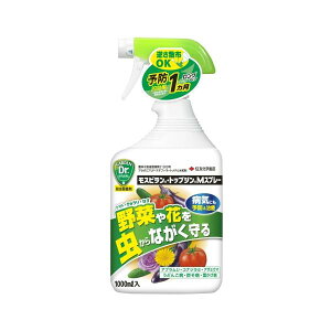 EEۍ XsEgbvWMXv[ ZFw| 1000ml  