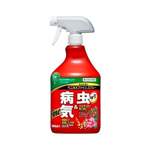 EEۍ xjJXt@CXv[ ZFw| 1000ml  aC 
