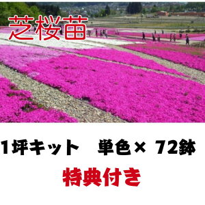 ōc 1؃Lbg PF72|bg Tt g  n Z   VoUN OhJo[  