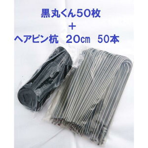 wAsY 20cm 50{@+@یN@50@Zbg̔