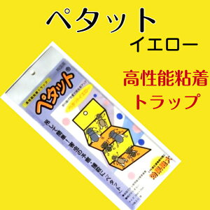 ʐSߒV[g AOZNg y^bgCG[ 10 F