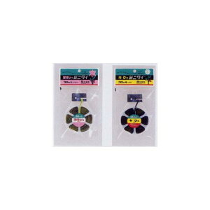 rj^C@a@@ep@30m Jb^[t