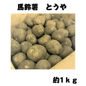 �y���������z��� ���Ⴊ���� �Ƃ��� ��1kg �n�鏒 �^�l�C�� �K�[�f�j���O ��� �؉�