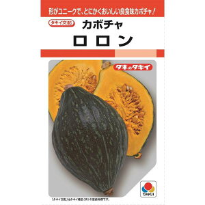 �^�L�C��z�@�J�{�`���@�������@RF8���@��؎�q