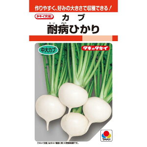 �^�L�C��z�@�J�u�@�ϕa�Ђ��蕓�@RF3.5ml�@��؎�q