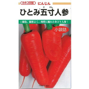 JlRz@ɂ񂶂@ЂƂ݌ܐ@6ml@؎q