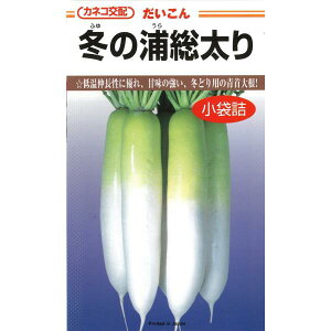 JlRz@卪@~̉Y@4.9ml@؂̃^l