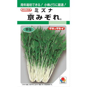 ^LCz@~Yi@݂@GF5ml@؎q