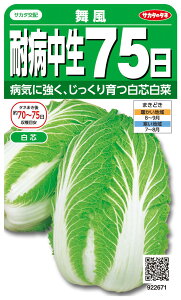 TJ^z  ϕa75 440 ؃^l t q nNTC c TJ^̃^l 