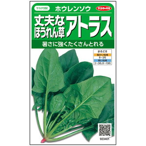 TJ^z vȂق AgX 750 ؃^l t q TJ^̃^l zE\E