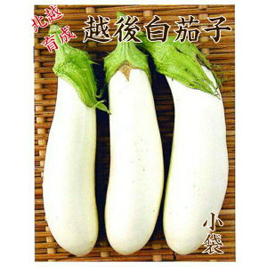 kz琬 z㔒֎q (1.2ml) ؃^l kz_ ؎q ؂̃^l Ȃ iX